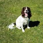 Jane Gerdes - @janegerdes58 - Instagram