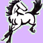 Janet Geyer - @healthyhorsepet - Instagram