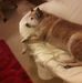 Janet Gilmore - Facebook