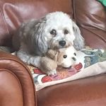 Janet Gilmore - @janet.gilmore.3762 - Instagram