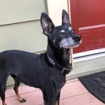 Janet Harper Gilmore - @leeharperlee - Instagram