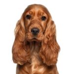Janet Goad - @jego.ad132 - Instagram