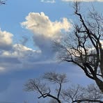 Janet Goble - Facebook