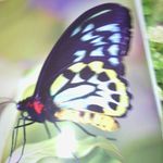Janet Barnett Preston Granger - @janet.b.granger - Instagram