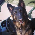 Janet Granger - @janetgrang - Instagram