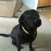 Janet Granger - Facebook