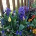 Janet Greenfield - Facebook