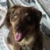 Janet Stokes Gregg - Facebook
