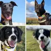 Janet grey - @janet.doggy.mum - TikTok