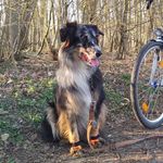 Janet - @janet.greta.grey - Instagram