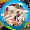 JG - @janettegrice - TikTok