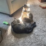 Janet Grimm - @georgegrimm1127 - Instagram