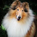 Janet Grimm - @glencre - Instagram