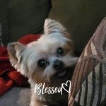 Janet Grubbs - @janetgrubbs125 - Instagram