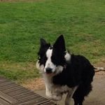 Janet Gunn - @gunn4611 - Instagram