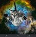 Janet Gunn - Facebook