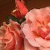 Janet Hacker - Facebook