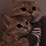 𝐉𝐚𝐧𝐞 𝐇𝐚𝐝𝐝𝐨𝐜𝐤 - @jane_haddxck - Instagram