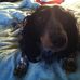Janet Halladay - Facebook