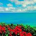Janet Bertram Hallmark - Facebook