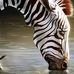 Janet Hallmark - Facebook