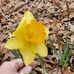 Janet Hallmark Lammers - Facebook