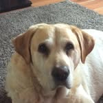 Jane Halpin - @j.halpinl - Instagram