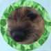 Janet Halpin - Facebook