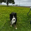 Janet Hamilton - @janet.hamilton119 - TikTok