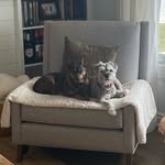 Janet Hamilton - @janet_moran_duffield_hamilton - Instagram