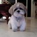 Janet Hammerschmidt - Facebook