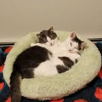 Janet Schwarz Hanes - @granet.nh - Instagram