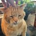 Janet Hanke - Facebook