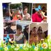 Janet Hanks - Facebook