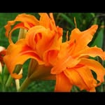 Janet Harbottle - @janetharbottle - Instagram