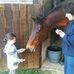 Janet Harding - Facebook
