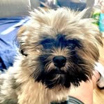 Janet Hardman - @janny722 - Instagram
