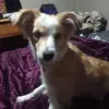 janetharker1 - @janetharker1 - TikTok