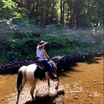 Janet Harner - @janetharner - Instagram
