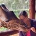 Janet Harper - Facebook