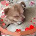 Janet Harper - Facebook