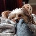 Janet Hash - Facebook