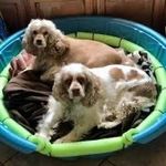 Janet Haskins - @janet44596 - Instagram