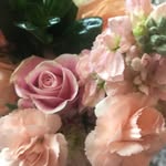 Janet Haskins - @haskins1002 - Instagram