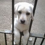 Janet Healey - @janet.healey.16 - Instagram