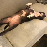 Janet Hearn - @hearn7868 - Instagram