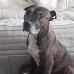 Janet Hearn - @janet.hearn.520 - Instagram