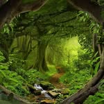Janet Hedges - @a_fabled_forest - Instagram