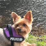 Janet Hedges - @hedges2131 - Instagram