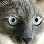 Janet Hedges Parker - @janetkparker1966 - Instagram